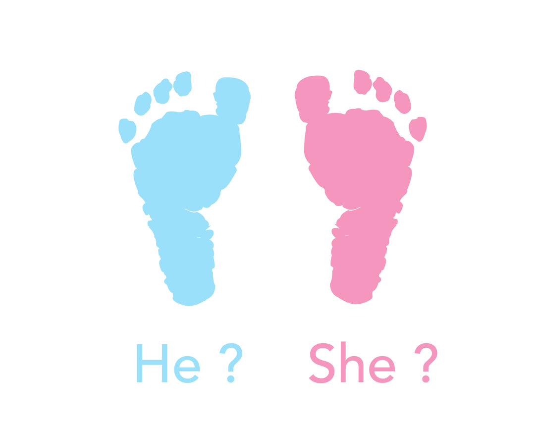 Fun Ideas for a Gender Reveal Party